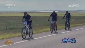 社会学视角：解析“地下博彩”与地方黑帮势力的共生关系及治理难题。（社会学观察：地下博彩与地方黑帮的共生逻辑及治理挑战）